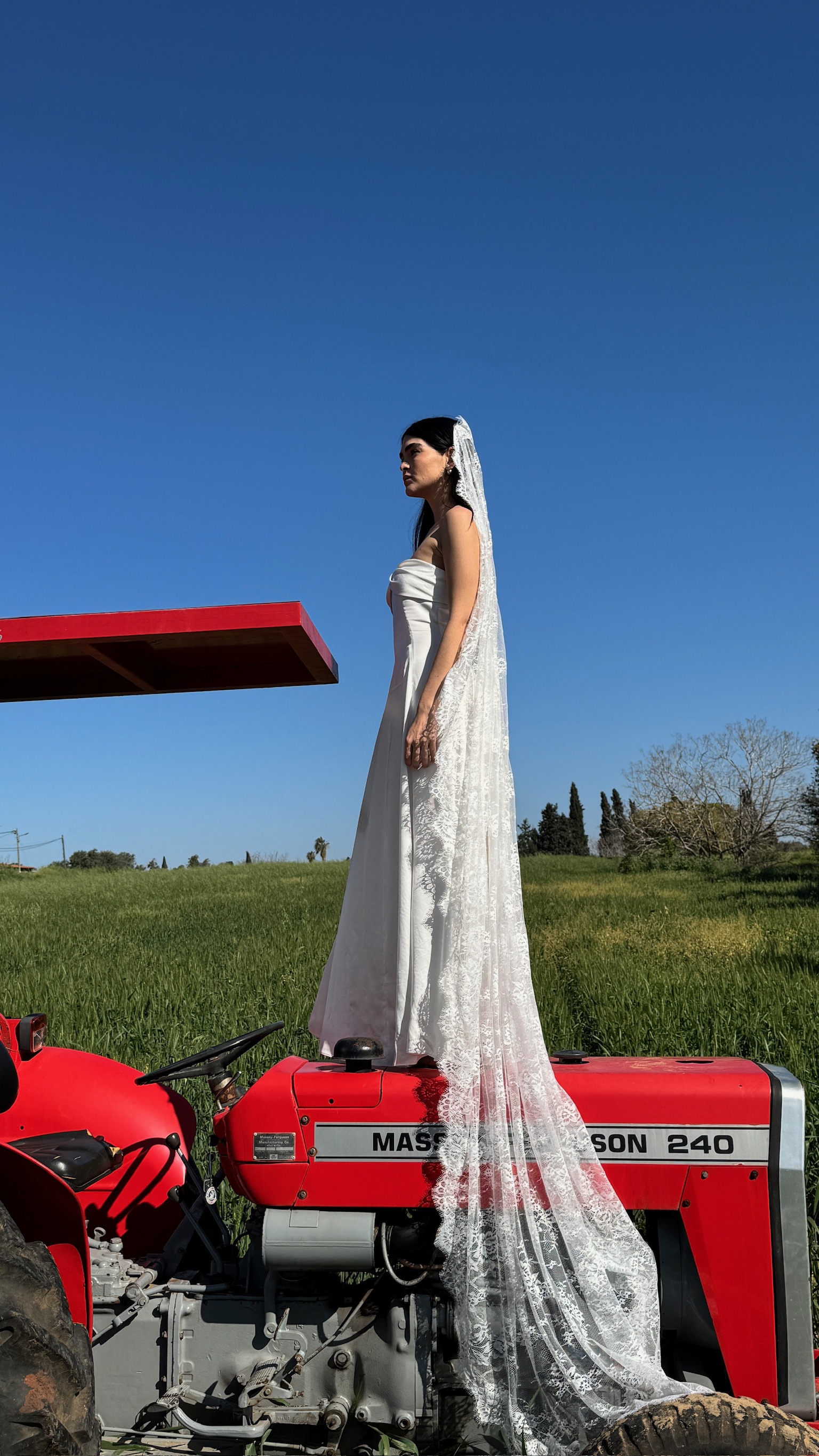 VEIL 002 – IDA dress